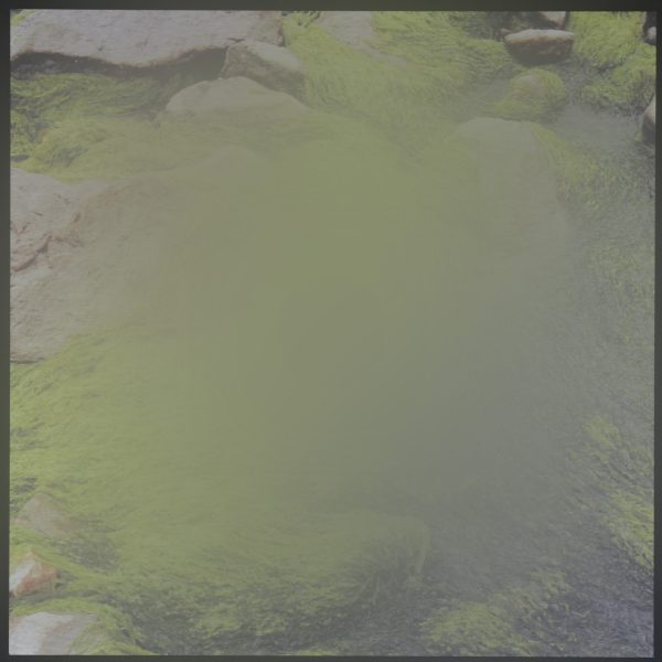Cadre 0087 – Image 2